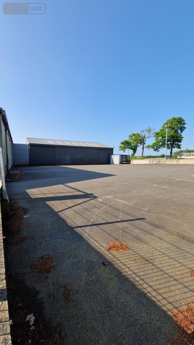 Fonds et murs commerciaux a vendre Plourin-lès-Morlaix 29600 Finistère 1094 m2  472950 euros