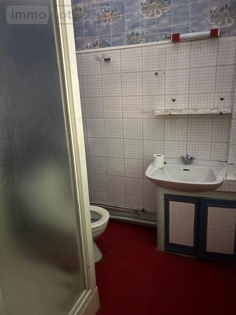 Fonds et murs commerciaux a vendre Sauveterre-de-Rouergue 12800 Aveyron 420 m2  296000 euros