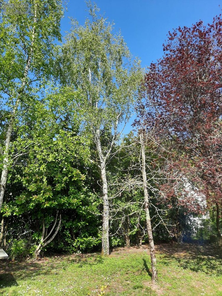 Maison a vendre Charentilly 37390 Indre-et-Loire 187 m2 8 pièces 470000 euros