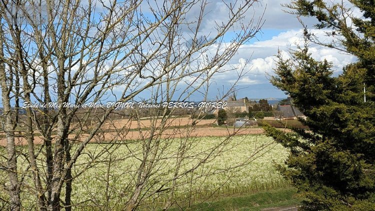 Maison a vendre Louannec 22700 Côtes-d'Armor 306 m2 10 pièces 878560 euros