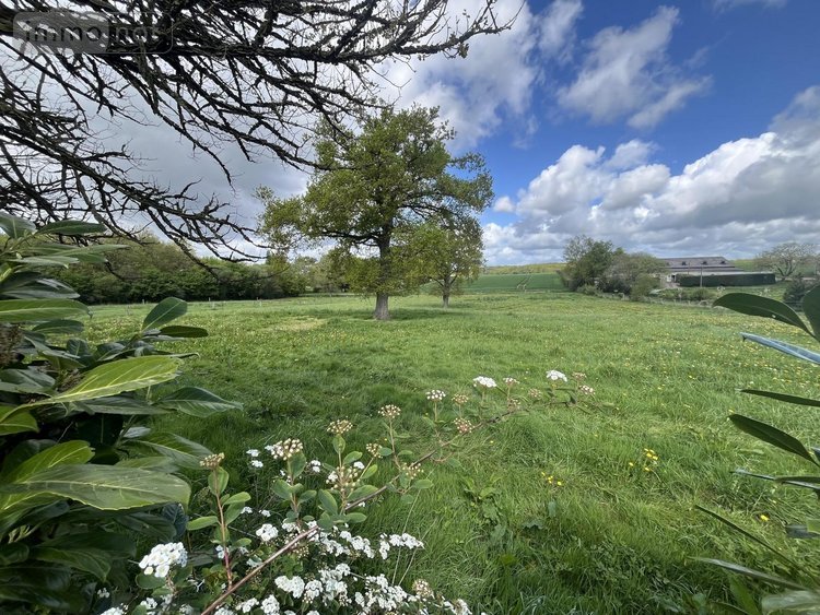 Maison a vendre Mauron 56430 Morbihan 110 m2 5 pièces 203200 euros