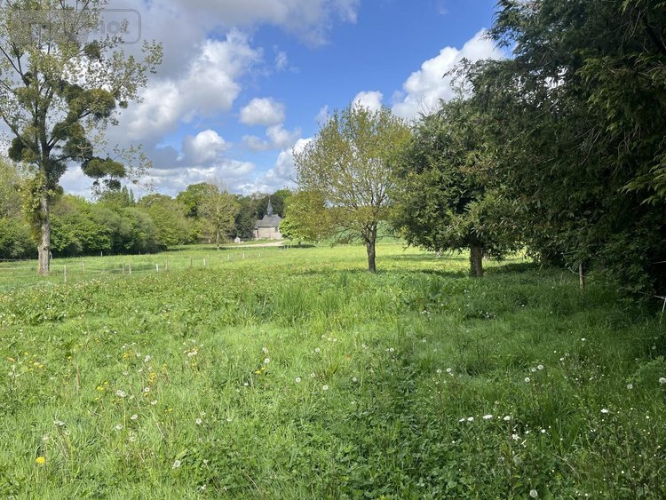 Maison a vendre Mauron 56430 Morbihan 110 m2 5 pièces 203200 euros