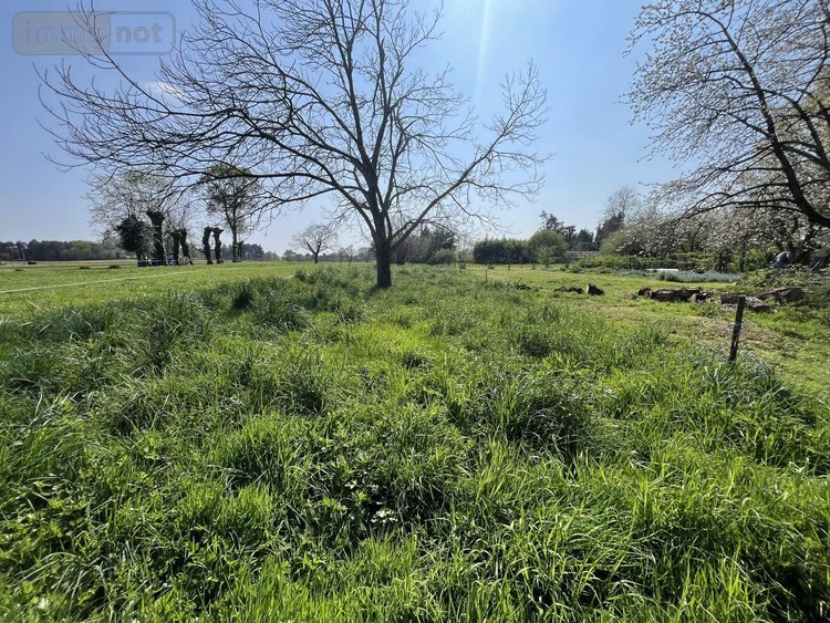 Maison a vendre Taupont 56800 Morbihan 130 m2 4 pièces 99200 euros