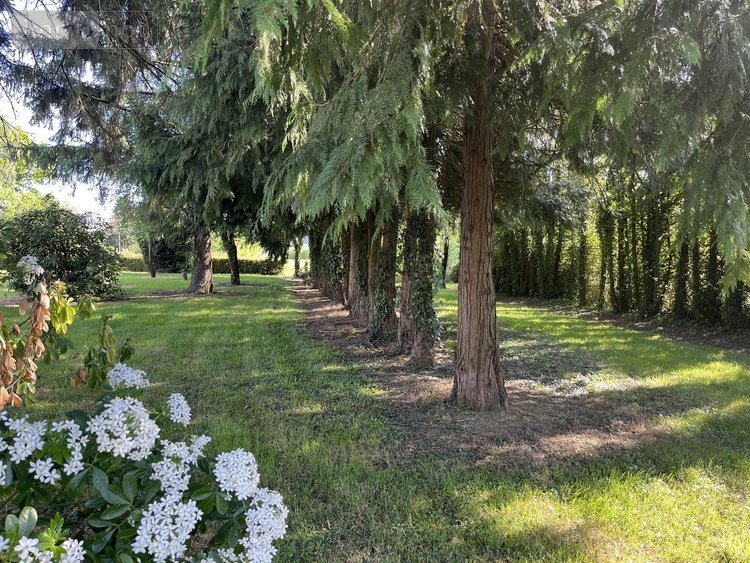 Maison a vendre Guilliers 56490 Morbihan 110 m2 7 pièces 84020 euros