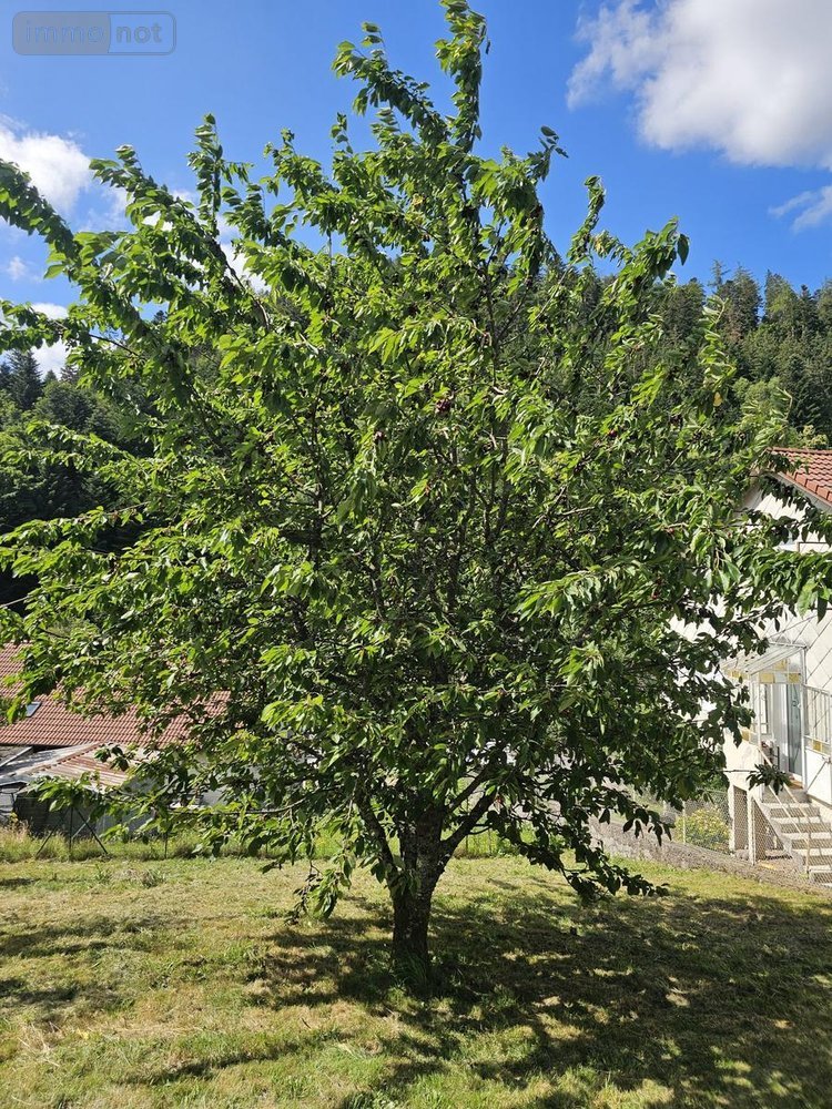 Maison a vendre Remiremont 88200 Vosges 178 m2 7 pièces 279000 euros