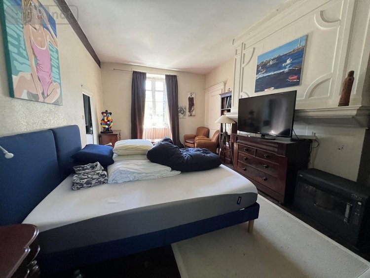 Maison a vendre Moulins 35680 Ille-et-Vilaine 295 m2 9 pièces 415600 euros