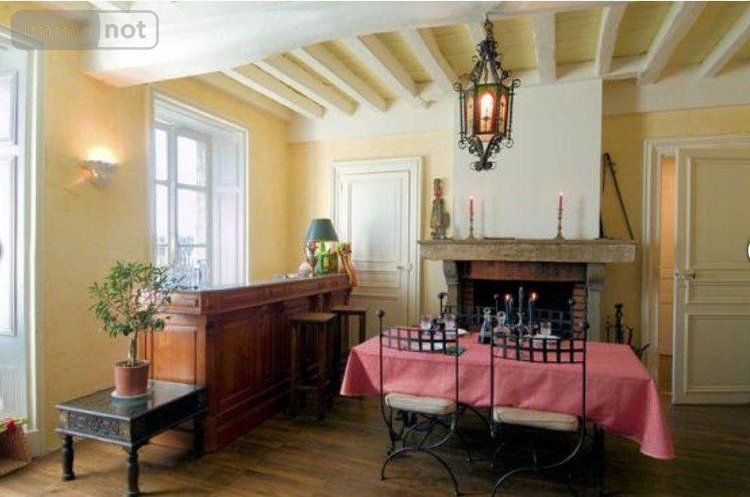 Maison a vendre Saint-Rémy-en-Rollat 03110 Allier 753 m2 15 pièces 1145000 euros