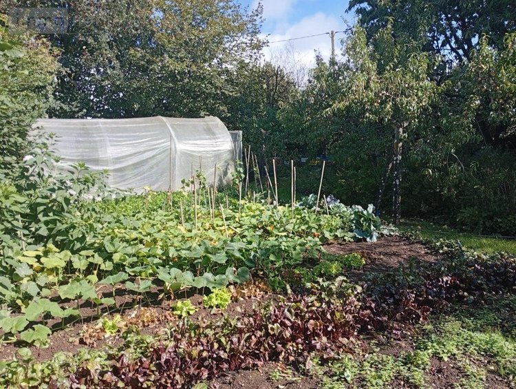 Maison a vendre Guégon 56120 Morbihan 228 m2 10 pièces 343020 euros