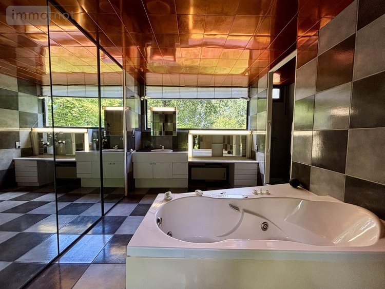 Maison a vendre Saint-Benoît 86280 Vienne 259 m2 5 pièces 728000 euros