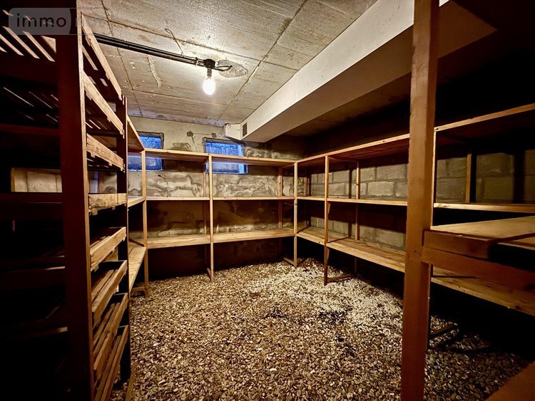 Maison a vendre Saint-Benoît 86280 Vienne 259 m2 5 pièces 522500 euros