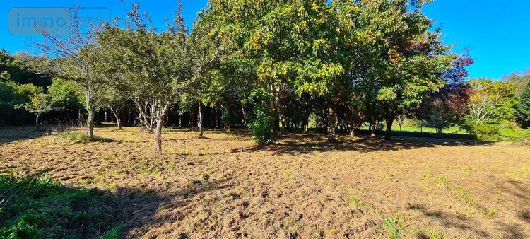 Maison a vendre Tréméoc 29120 Finistère 150 m2 6 pièces 399000 euros