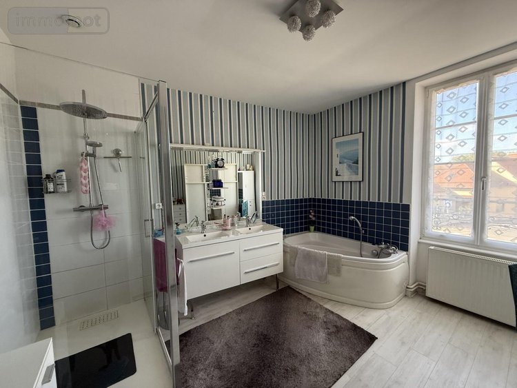 Maison a vendre Escurolles 03110 Allier 159 m2 7 pièces 294000 euros