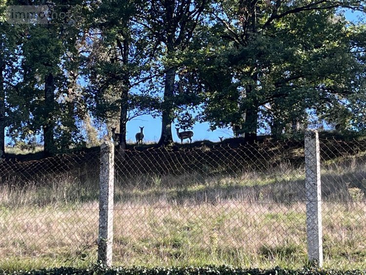 Maison a vendre Ydes 15210 Cantal 196 m2 6 pièces 371000 euros