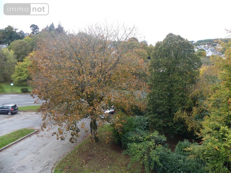 Location appartement Redon 35600 Ille-et-Vilaine 66 m2 3 pièces 700 euros