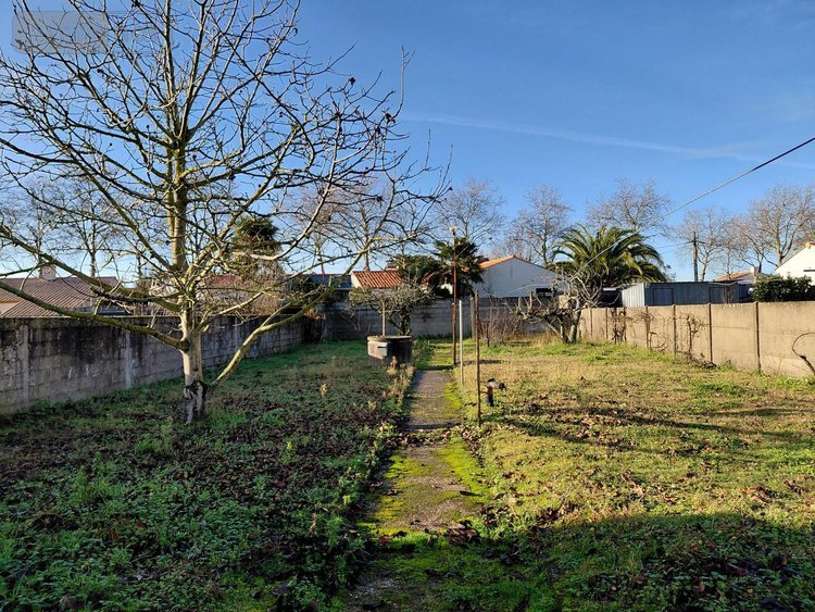 Maison a vendre Challans 85300 Vendée 67 m2 3 pièces 219300 euros