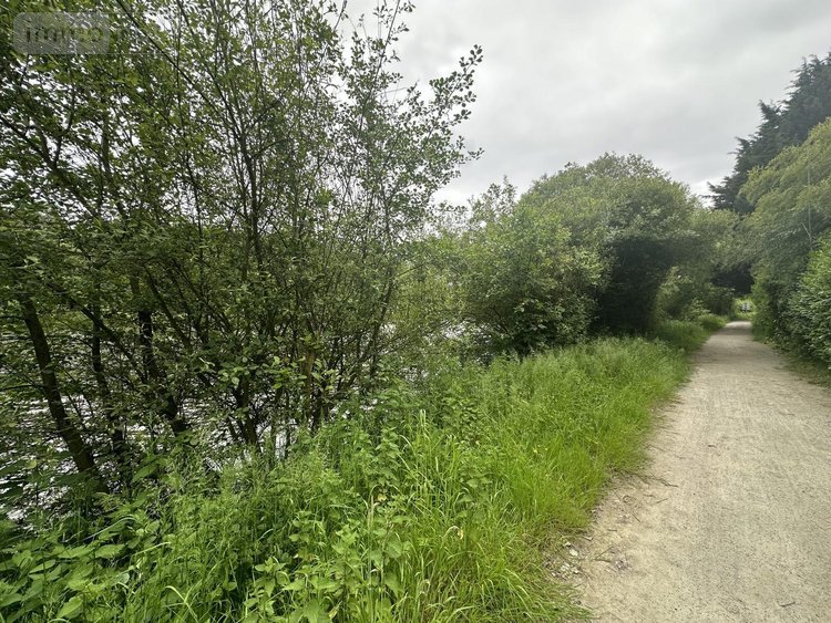 Bien agricole a vendre La Roche-Neuville 53200 Mayenne  29500 euros