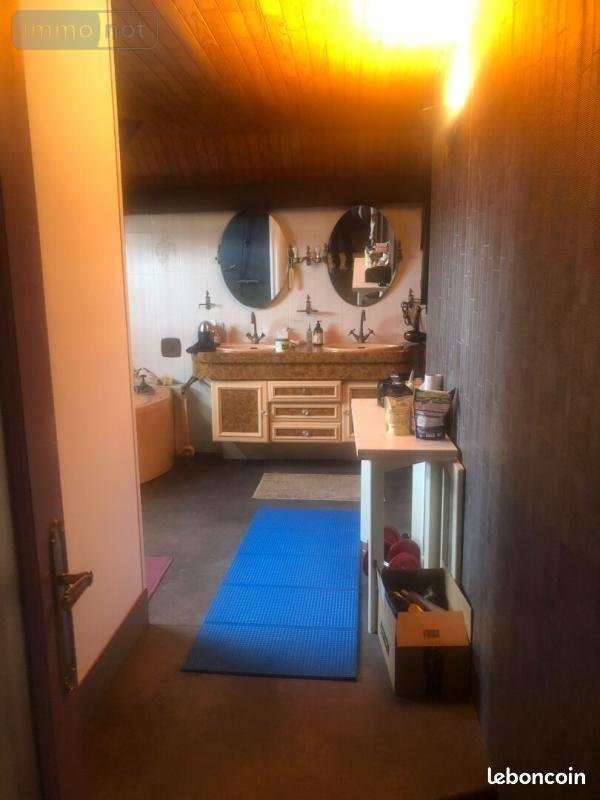 Maison a vendre Bellerive-sur-Allier 03700 Allier 161 m2 7 pièces 180000 euros