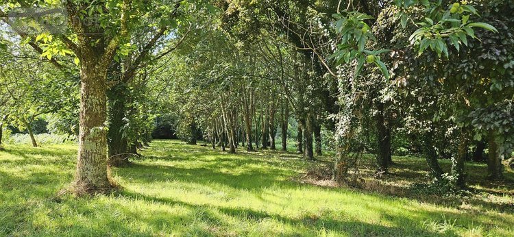 Immeuble a vendre Tréméoc 29120 Finistère 150 m2  399000 euros