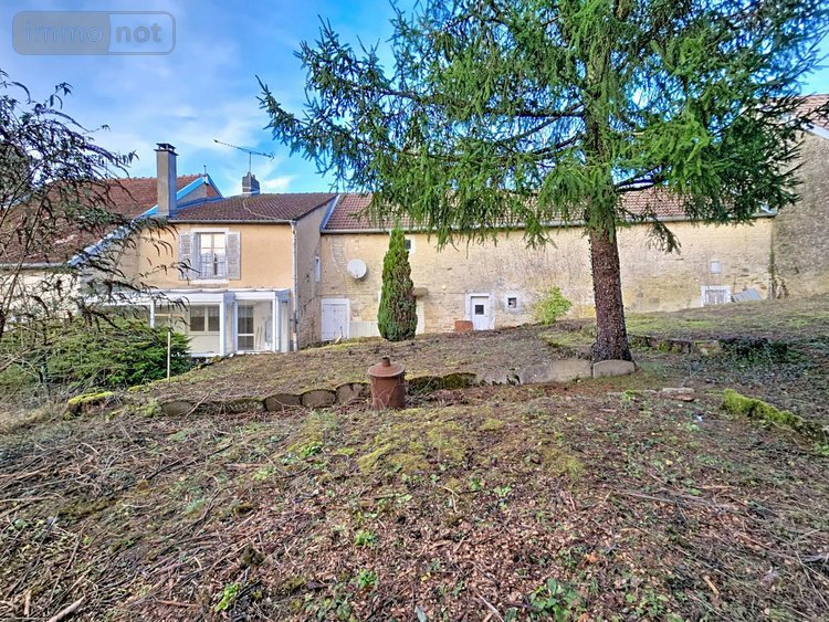Maison a vendre Luzy-sur-Marne 52000 Haute-Marne 100 m2 5 pièces 91000 euros