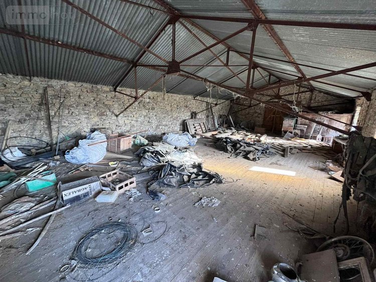 Maison a vendre Bassignac 15240 Cantal 131 m2 9 pièces 74200 euros