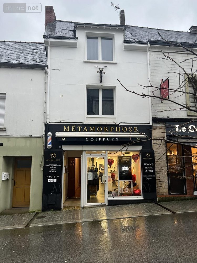 Immeuble a vendre Ploërmel 56800 Morbihan 240 m2  371940 euros