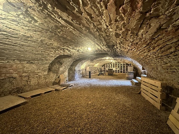 Maison a vendre Meursault 21190 Côte-d'Or 270 m2 8 pièces 1050000 euros