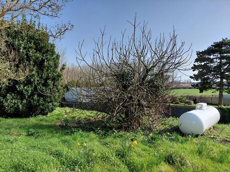 Maison a vendre Commequiers 85220 Vendée 72 m2 4 pièces 157500 euros