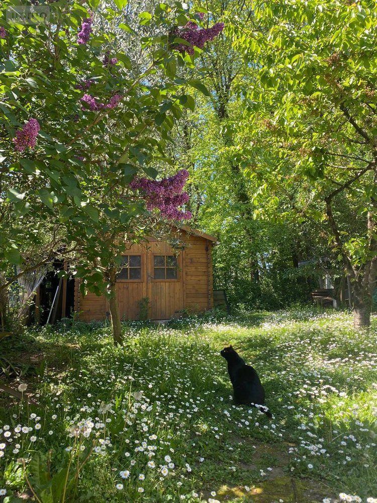 Location maison Châteaugiron 35410 Ille-et-Vilaine 66 m2 3 pièces 850 euros