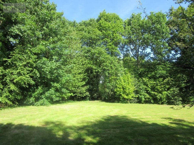 Terrain a batir a vendre Carhaix-Plouguer 29270 Finistère 1651 m2  42500 euros