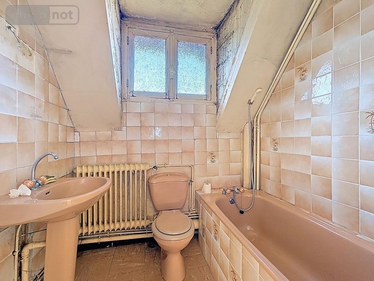 Maison a vendre Foulain 52800 Haute-Marne 110 m2 6 pièces 54000 euros