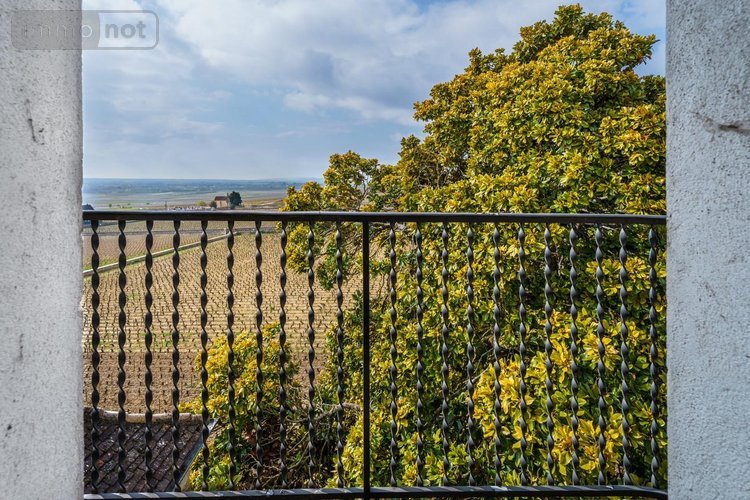 Maison a vendre Volnay 21190 Côte-d'Or 215 m2 11 pièces 2000000 euros