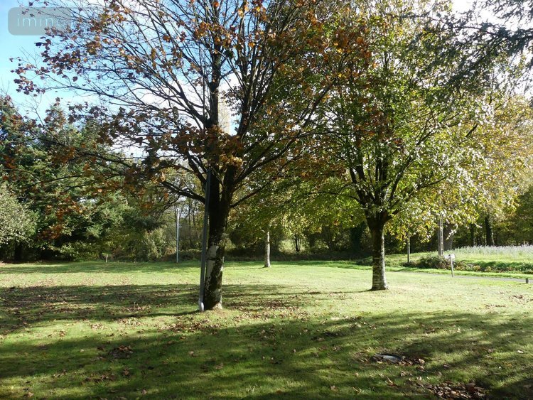 Maison a vendre Peillac 56220 Morbihan 98 m2 4 pièces 145610 euros