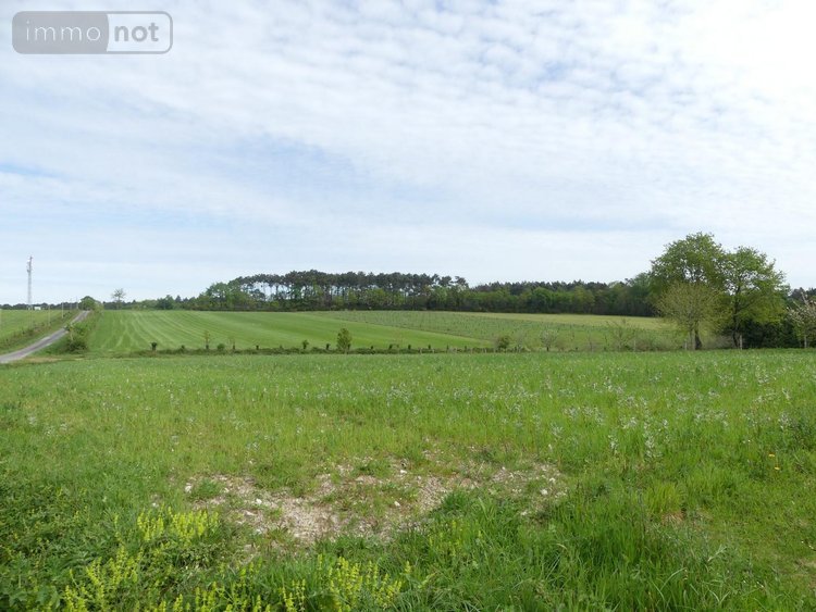 Maison a vendre Langon 35660 Ille-et-Vilaine 87 m2 3 pièces 141170 euros