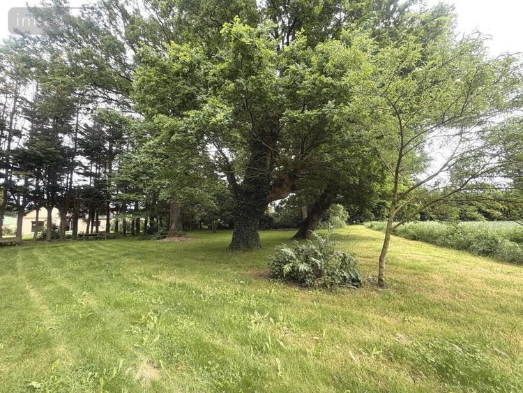 Maison a vendre Guipry-Messac 35480 Ille-et-Vilaine 124 m2 6 pièces 326025 euros