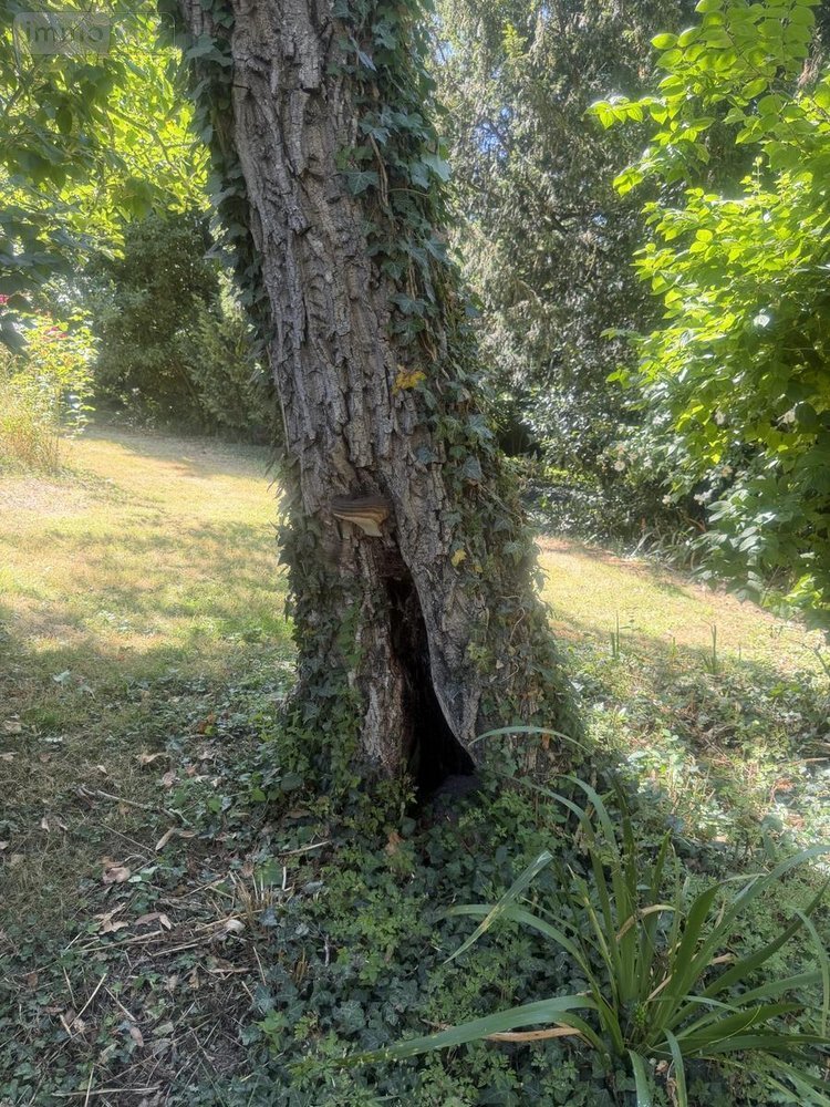 Maison a vendre Guipry-Messac 35480 Ille-et-Vilaine 100 m2 5 pièces 212000 euros