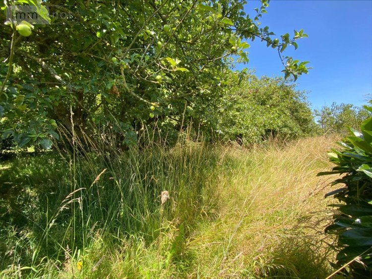 Maison a vendre La Boussac 35120 Ille-et-Vilaine 85 m2 3 pièces 199720 euros