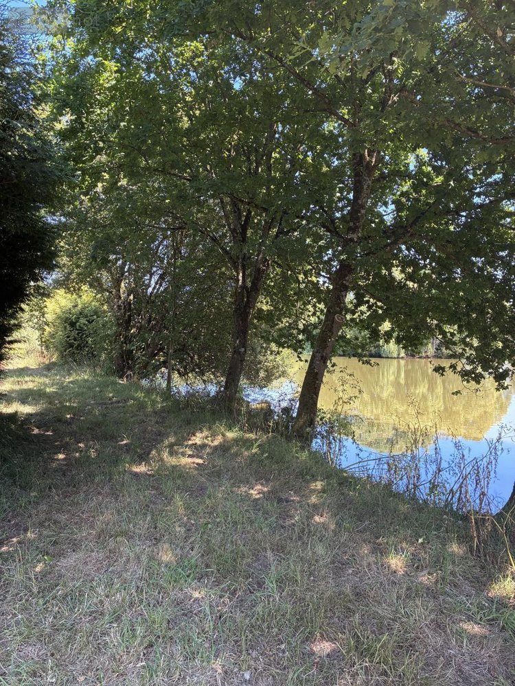 Terrains de loisirs bois etangs a vendre La Bazouge-des-Alleux 53470 Mayenne 45728 m2  120500 euros