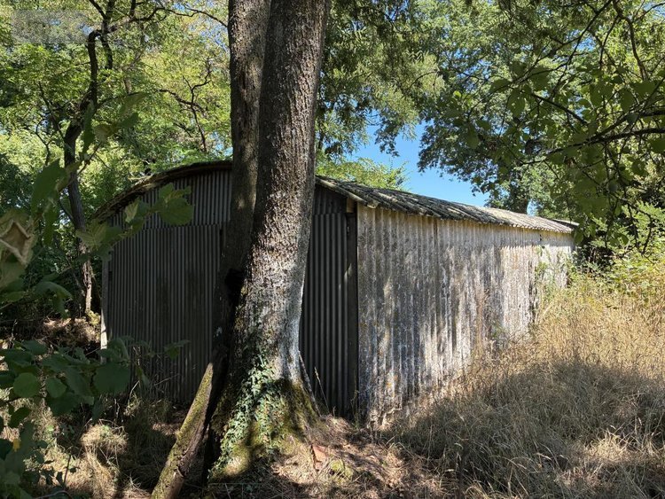 Terrains de loisirs bois etangs a vendre La Bazouge-des-Alleux 53470 Mayenne 45728 m2  120500 euros