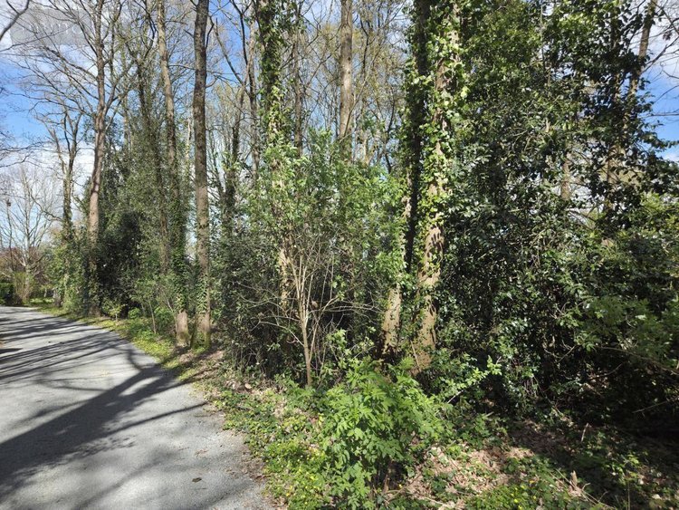 Maison a vendre Château-Gontier-sur-Mayenne 53200 Mayenne 193 m2 8 pièces 445900 euros