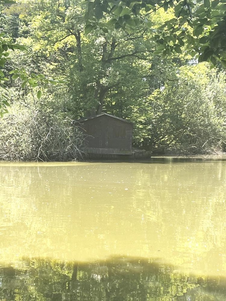 Maison a vendre Marchenoir 41370 Loir-et-Cher 231 m2 6 pièces 609000 euros