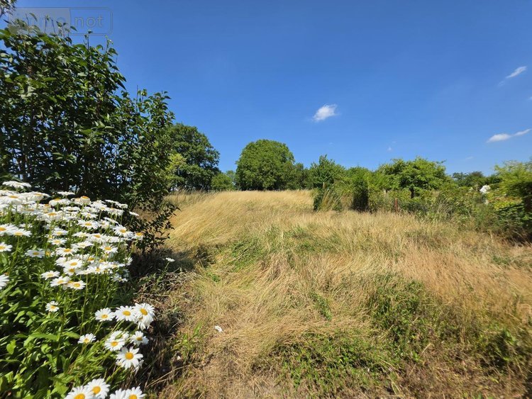 Maison a vendre Frévin-Capelle 62690 Pas-de-Calais 88 m2 5 pièces 134744 euros