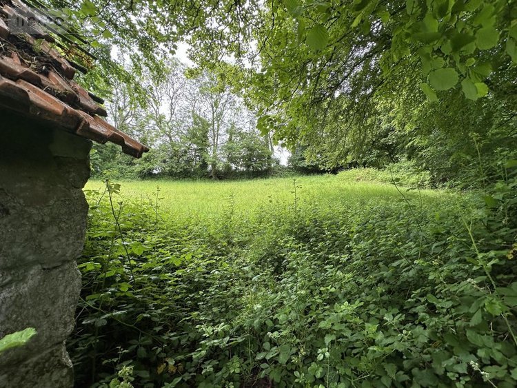 Divers a vendre Gréville-Hague 50440 Manche 58 m2  21200 euros