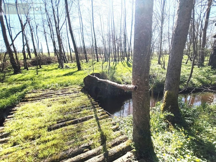 Maison a vendre Marzan 56130 Morbihan 94 m2 5 pièces 305000 euros