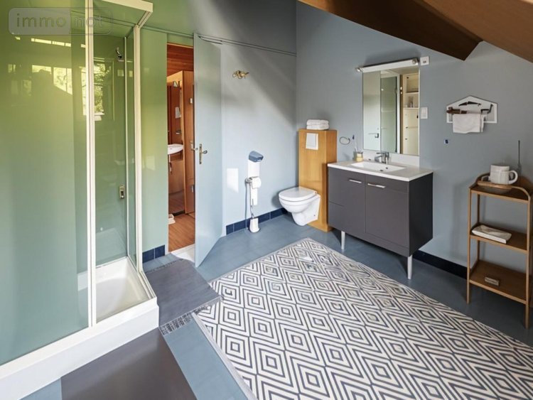 Maison a vendre Nargis 45210 Loiret 199 m2 3 pièces 241500 euros