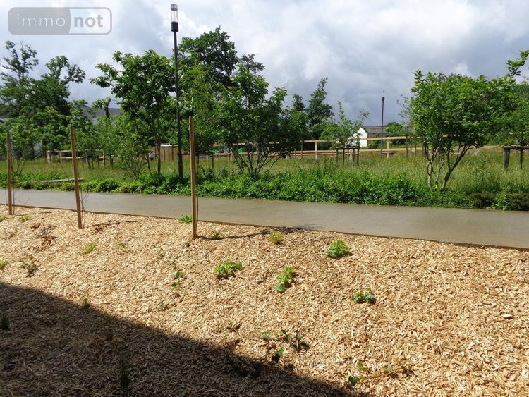 Location appartement Orvault 44700 Loire-Atlantique 59 m2 3 pièces 762 euros