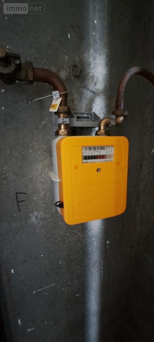 Immeuble a vendre Angers 49000 Maine-et-Loire 115 m2  398600 euros