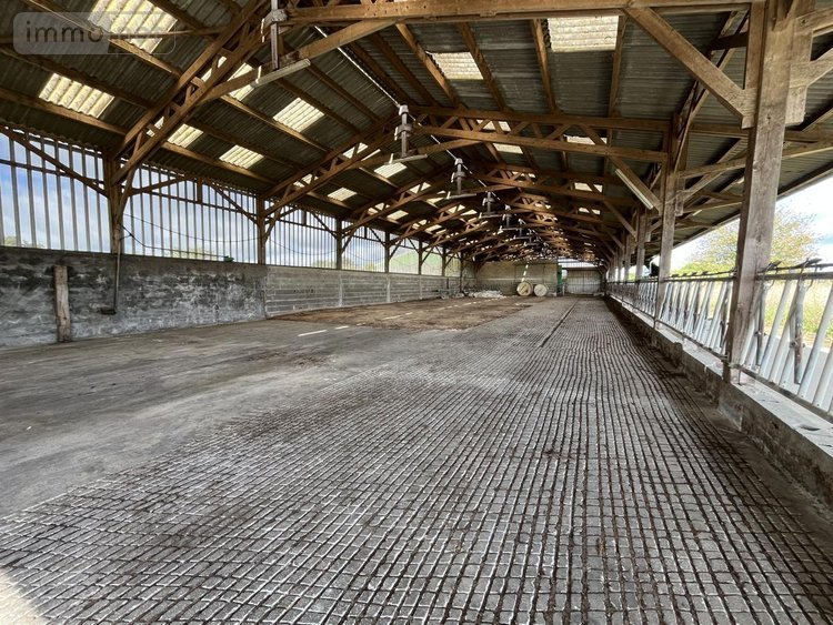 Terrains de loisirs bois etangs a vendre Vritz 44540 Loire-Atlantique 46325 m2  96000 euros