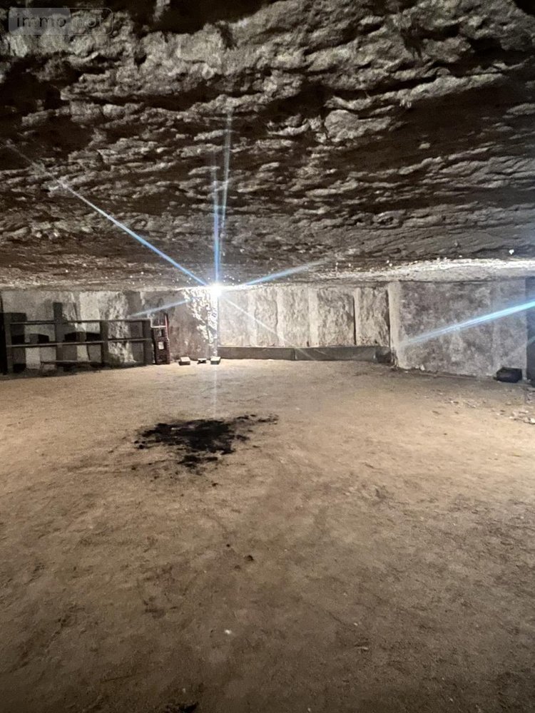 Garage et parking a vendre Naveil 41100 Loir-et-Cher 80 m2  11800 euros