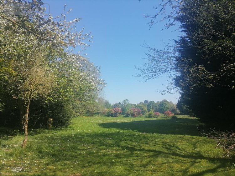 Maison a vendre Le Faouët 22290 Côtes-d'Armor 119 m2 8 pièces 169000 euros