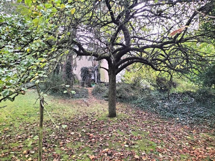 Maison a vendre Férin 59169 Nord 95 m2 5 pièces 242700 euros